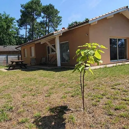 La Rescapée Du Cap'itaine Vous Attends !